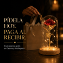 Rosa Eterna Encantada - BellaRose™