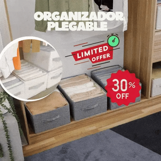 2 Organizadores Plegable de 8 Divisiones
